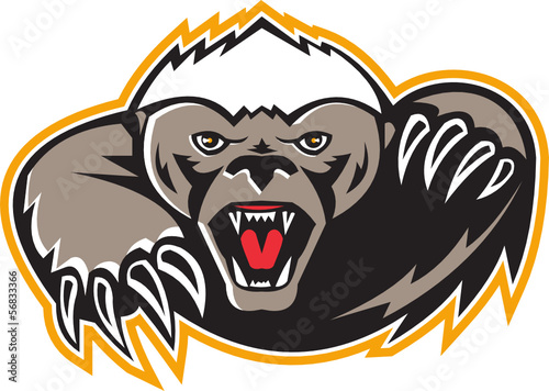 Vector: Honey Badger Mascot Claw Honey Badger Mascot Claw