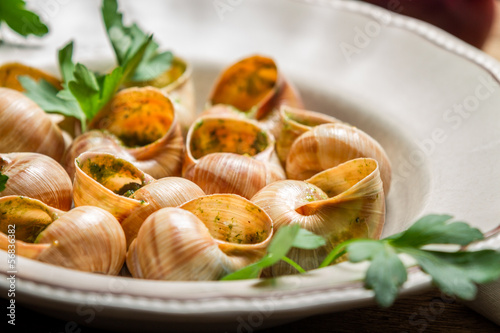 Photo: Closeup of baked snails with garlic butter Closeup of baked snails with garlic butter