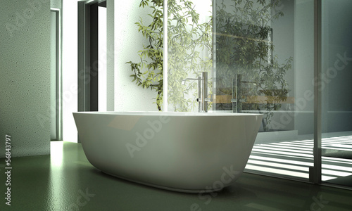 Illustration: Modern design bathtub against glass partition Modern design bathtub against glass partition