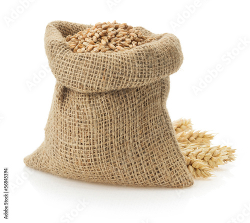 Photo: wheat grain on white wheat grain on white