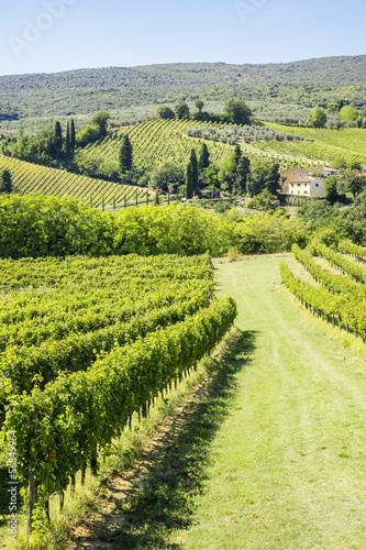 Photo: Wine Hill Italy Wine Hill Italy