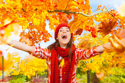 Photo: herbst herbst