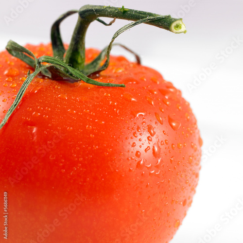 Photo: close-up of a red tomato isolated on a white background close-up of a red tomato isolated on a white background