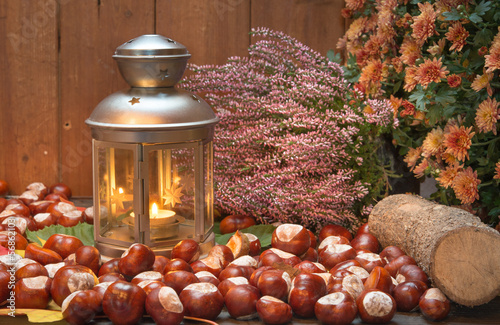 Photo: Laterne und Kastanien herbstlich dekoriert Laterne und Kastanien herbstlich dekoriert