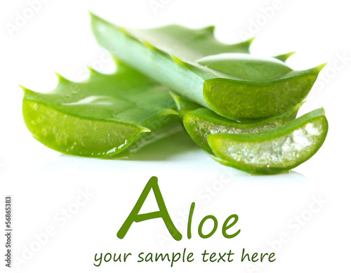 Photo: Aloe leaves with drops, isolated on white Aloe leaves with drops, isolated on white