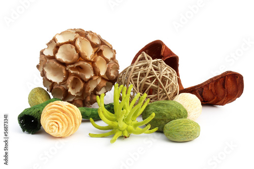 Photo: Boules et écorces séchés Boules et écorces séchés