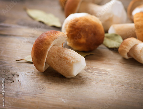 Photo: Mushroom Boletus over Wooden Background. Autumn Cep Mushrooms Mushroom Boletus over Wooden Background. Autumn Cep Mushrooms