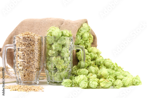 Photo: Two mugs with barley and hop. Two mugs with barley and hop.