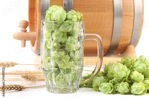 Photo: Close up of mug with hop. Close up of mug with hop.