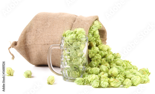 Photo: Sack and mug with hop. Sack and mug with hop.