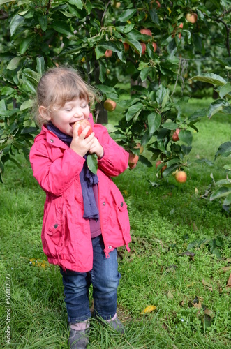 Photo: pomme bio pomme bio