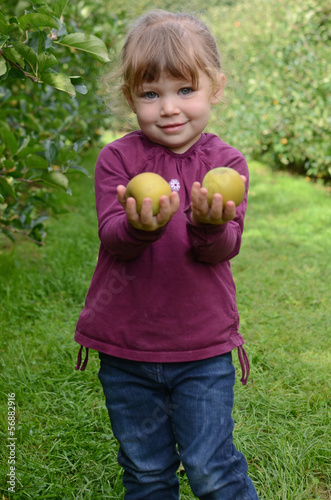 Photo: 2 pommes 2 pommes
