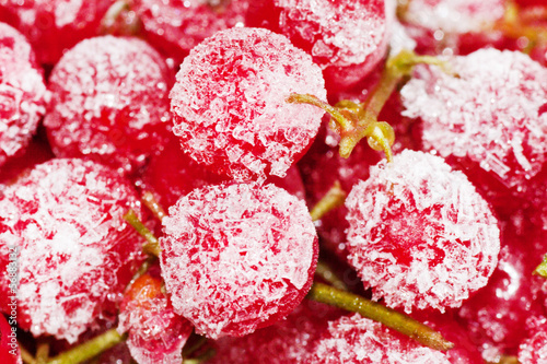 Photo: Frozen red currant berries. Frozen red currant berries.