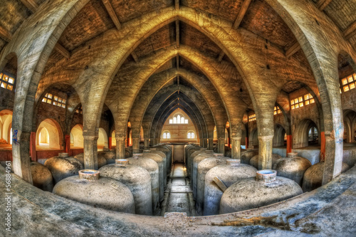 Photo: Concrete fermentation tanks in an abandoned cellar Concrete fermentation tanks in an abandoned cellar