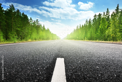 Photo: road in Russian forest road in Russian forest