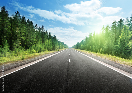 Photo: road in deep forest road in deep forest