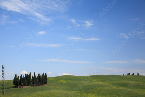 Photo: paesaggio toscano paesaggio toscano