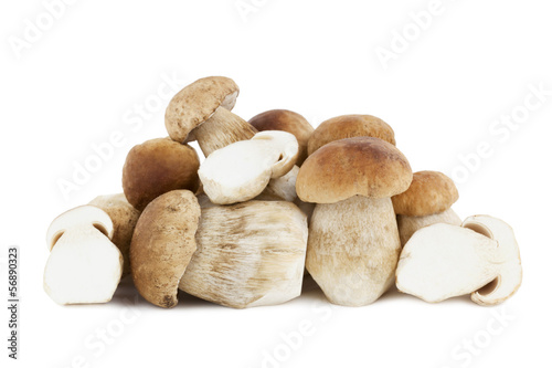 Photo: Steinpilze Steinpilze
