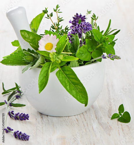 Photo: herbs herbs