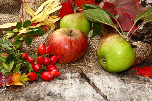 Photo: Herbstdekoration, Äpfel, Hagebutten, Herbstlaub Herbstdekoration, Äpfel, Hagebutten, Herbstlaub