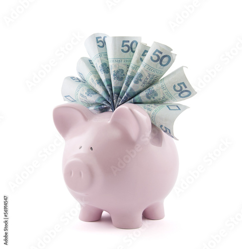 Photo: Piggy bank with polish money. Clipping path included. Piggy bank with polish money. Clipping path included.