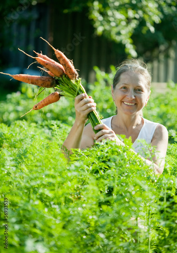 Photo: woman picking fresh carrots woman picking fresh carrots