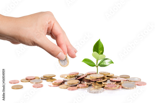 Photo: finance new business - start-up - Money and plant with hand finance new business - start-up - Money and plant with hand
