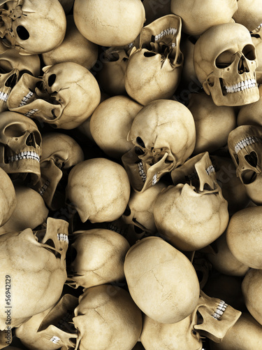 Illustration: 3d rendered illustration of human skulls 3d rendered illustration of human skulls