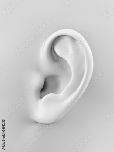 Illustration: 3d rendered illustration of a human ear 3d rendered illustration of a human ear