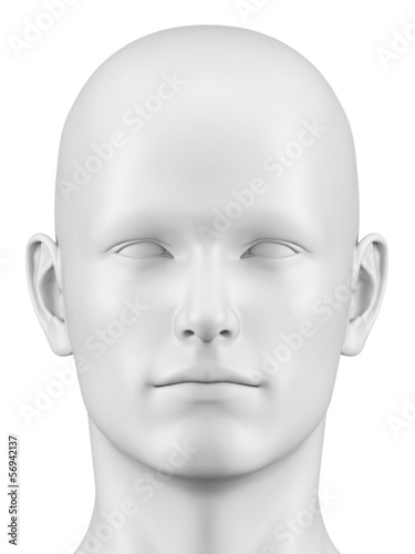 Illustration: 3d rendered illustration of a male head 3d rendered illustration of a male head