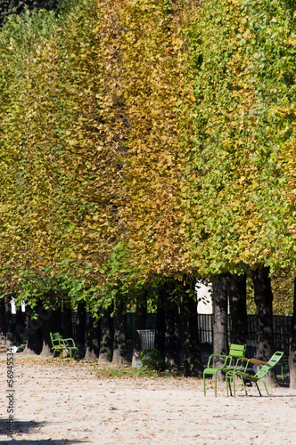 Photo: Paris automne Paris automne