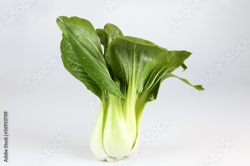 Photo: Pak Choi Pak Choi