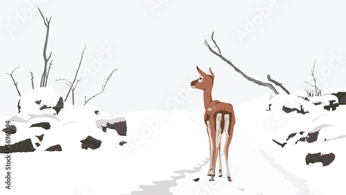 Vector: Peaceful Winter Landscape Peaceful Winter Landscape