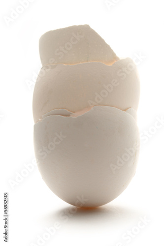 Photo: Eggshell Eggshell