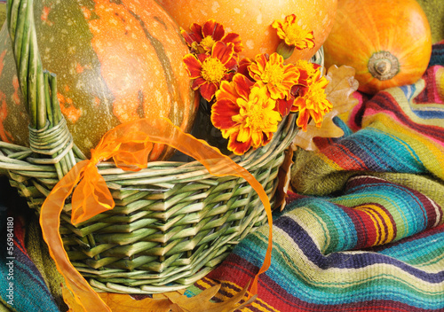 Photo: Motley pumpkins in basket for Halloween Motley pumpkins in basket for Halloween