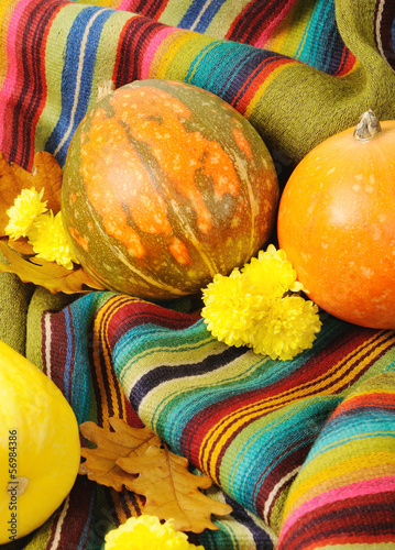 Photo: Motley pumpkins Motley pumpkins