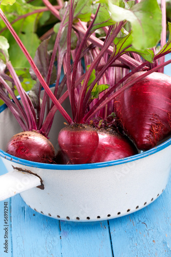 Photo: rote Bete im Sieb rote Bete im Sieb
