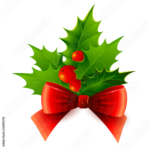 Vector: Christmas holly. Vector illustration. Christmas holly. Vector illustration.