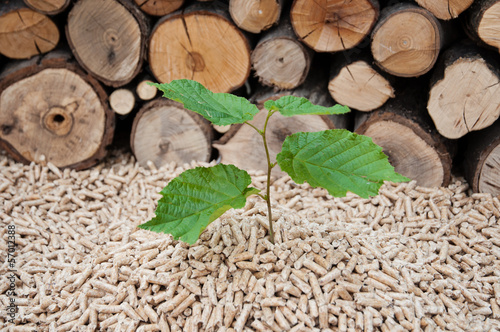 Photo: Pellets- Biomass Pellets- Biomass