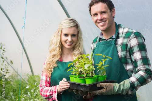 Photo: Young couple showing carton of small plants Young couple showing carton of small plants