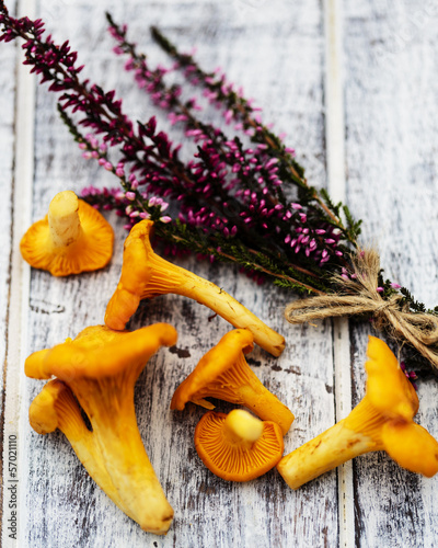 Photo: Autumn - Fresh chanterelle mushrooms on a table Autumn - Fresh chanterelle mushrooms on a table