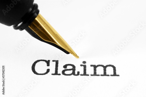 Photo: Fountain pen on claim text Fountain pen on claim text