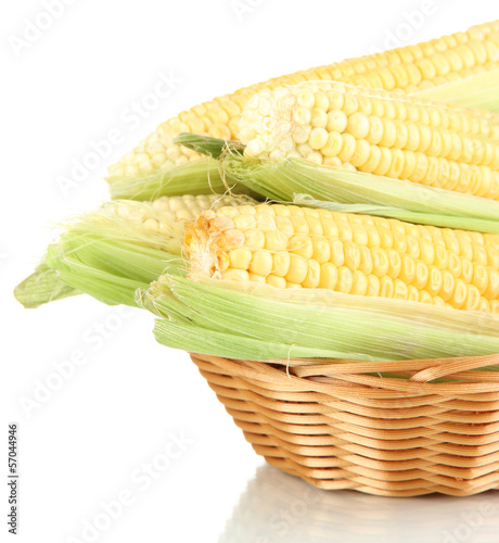 Photo: Fresh corn vegetable in basket isolated on white Fresh corn vegetable in basket isolated on white