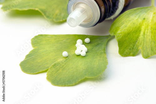 Photo: Ginkgo in der Homöopathie Ginkgo in der Homöopathie