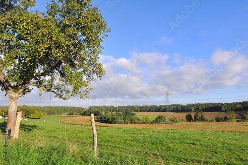 Photo: paysage rural paysage rural