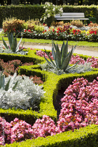 Photo: Garden flower in the park, grow agave and pink flowers. Garden flower in the park, grow agave and pink flowers.