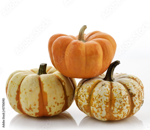 Photo: Pumpkins Pumpkins