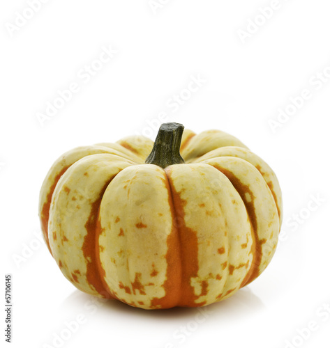 Photo: Pumpkin Pumpkin