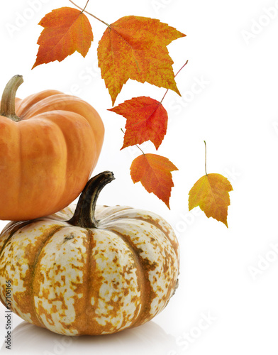 Photo: Pumpkins Pumpkins