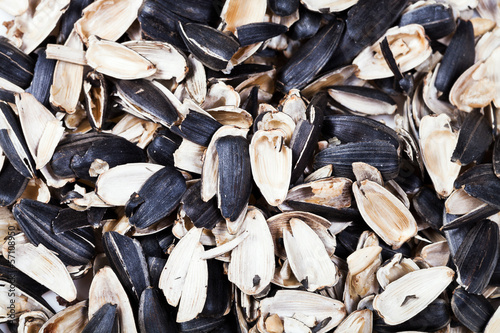 Photo: husks of roasted sunflower seeds husks of roasted sunflower seeds